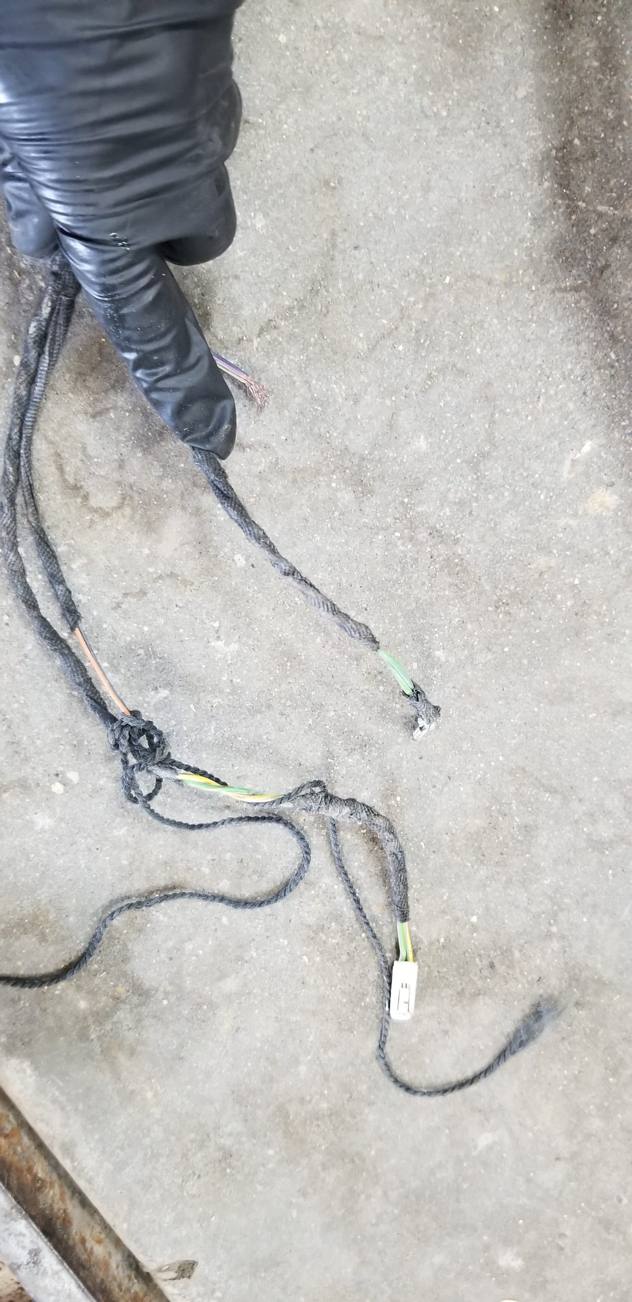 Gen 5 left under body harness - Image 4